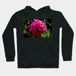 Shiny Pink Rose Hoodie